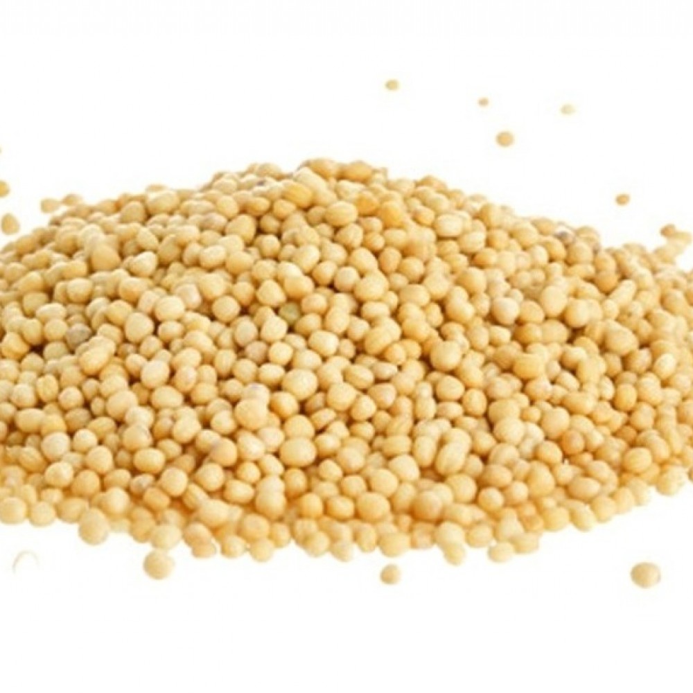 mostaza-en-grano-amarilla-x-1-kg