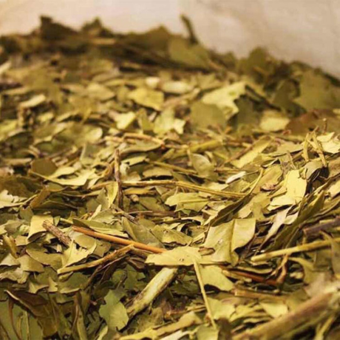 yerba-antiacida-ajedrez-con-palos-x-1-kg