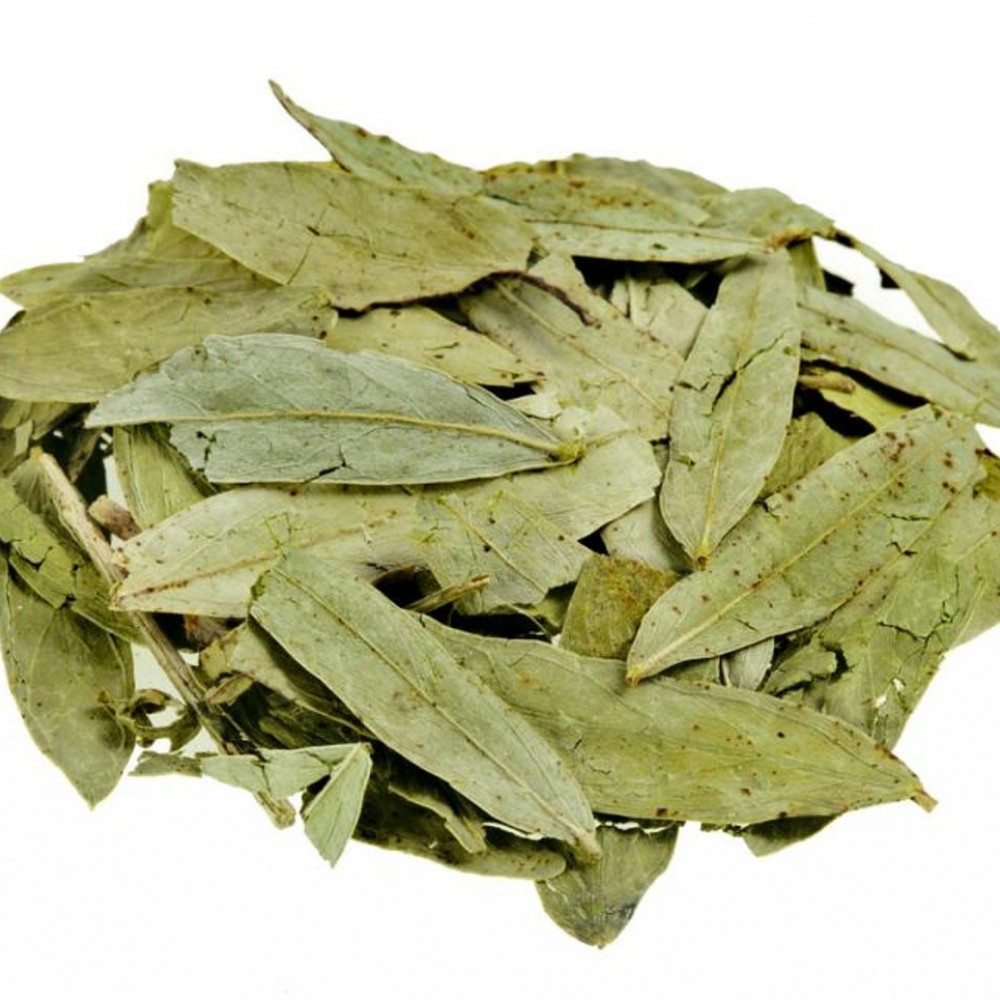 sen-hojas-x-1-kg